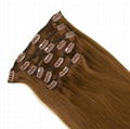 Clip in Hair Extensions 3