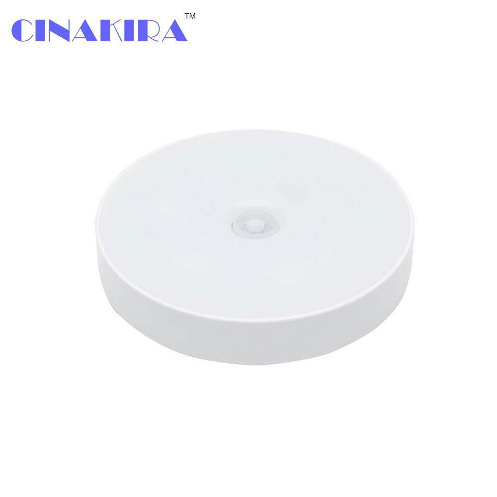 motion sensor led light 