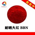 sun resistant bright red BBN 3