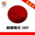 sun-resistant brilliant red BBC-2BP 2