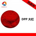Everlasting Red DPP 5