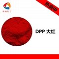 永固红DPP