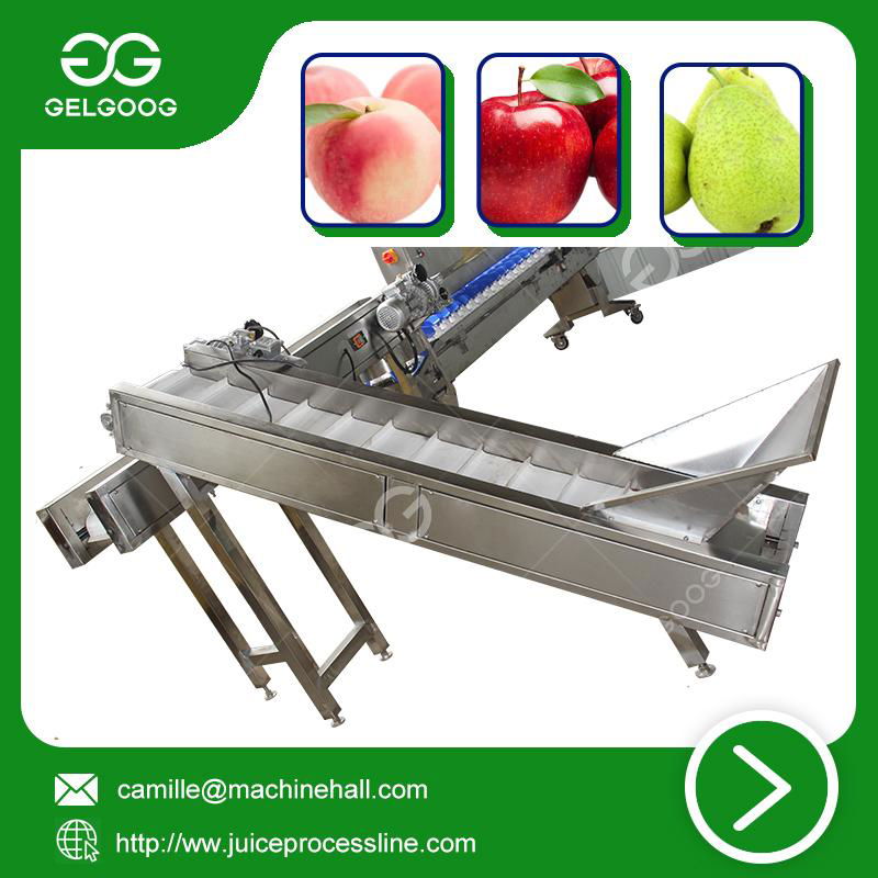 Automatic fruit weight sorting machine vegetable classifying machine with rea