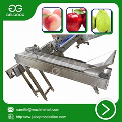 Automatic fruit weight sorting machine vegetable classifying machine with rea