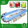 Automatic fruit weight sorting machine vegetable classifying machine with rea 2