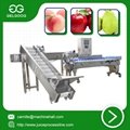Automatic fruit weight sorting machine vegetable classifying machine with rea 3