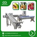 Automatic fruit weight sorting machine vegetable classifying machine with rea 4