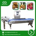 Automatic fruit weight sorting machine vegetable classifying machine with rea 5