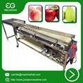 Orbital type fruit automatic sorting machine size grading machine no harm for fr 2