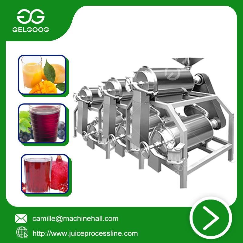 Double channel peeling and pitting machine automatic juice making machine