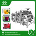 Double channel peeling and pitting machine automatic juice making machine