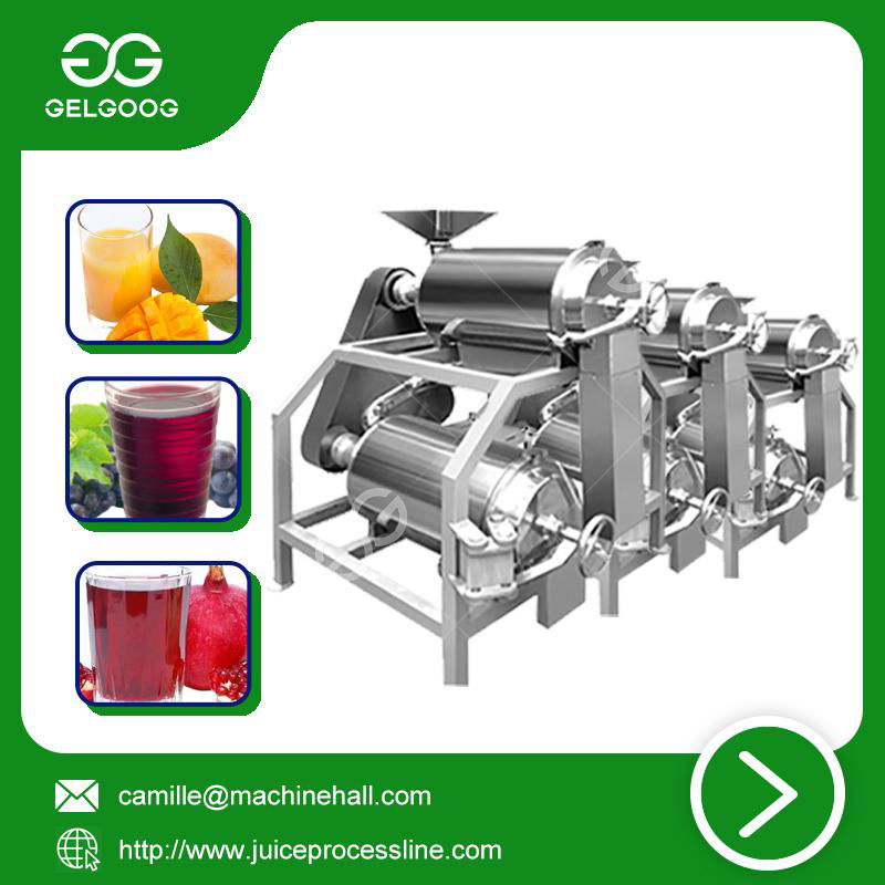 Double channel peeling and pitting machine automatic juice making machine 2