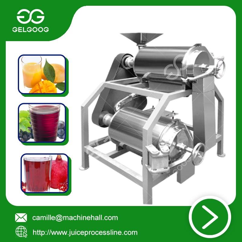 Double channel peeling and pitting machine automatic juice making machine 4