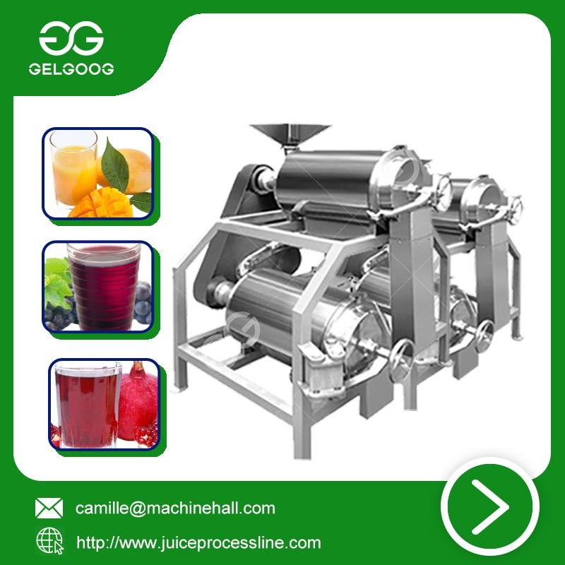 Double channel peeling and pitting machine automatic juice making machine 5