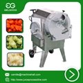 Bulb type vegetable cutting machine high efficiency 4