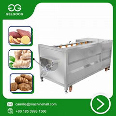 Brush peeling washing machine Stainless Steel Fruit washing machine