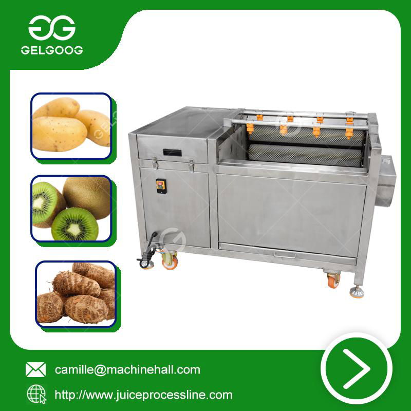 Brush peeling washing machine Stainless Steel Fruit washing machine 2