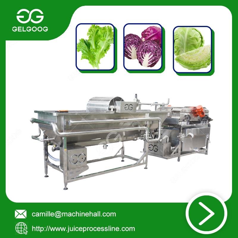 Vortex Type Vegetable Washing Machine New Type Fruit washing machine