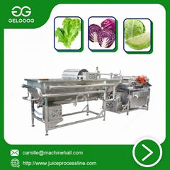 Vortex Type Vegetable Washing Machine New Type Fruit washing machine