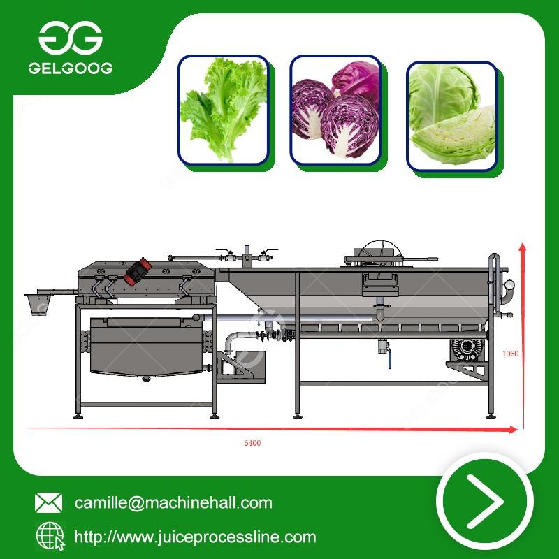 Vortex Type Vegetable Washing Machine New Type Fruit washing machine 3