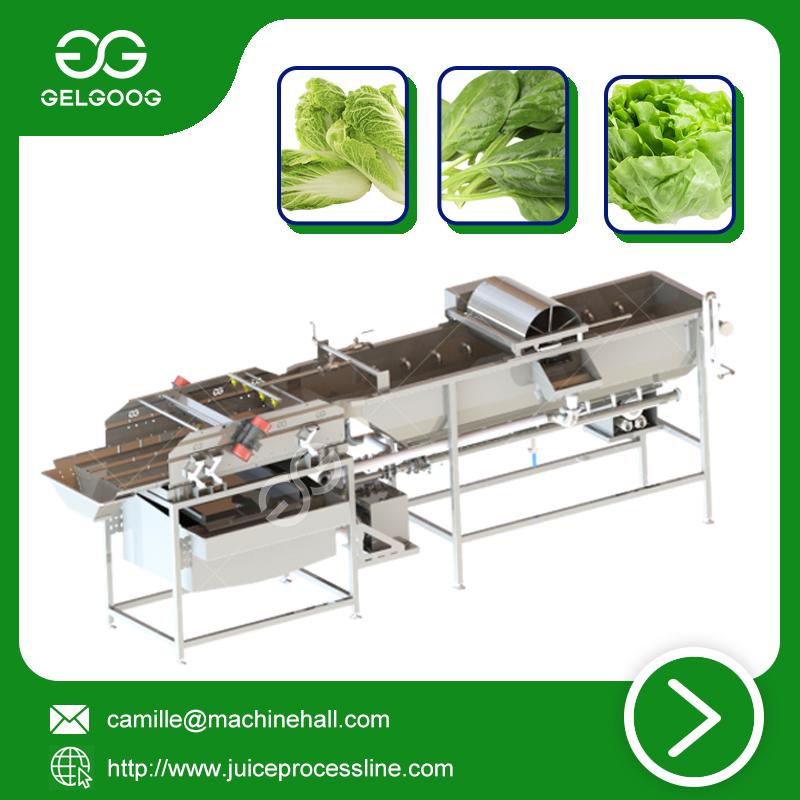 Vortex Type Vegetable Washing Machine New Type Fruit washing machine 5