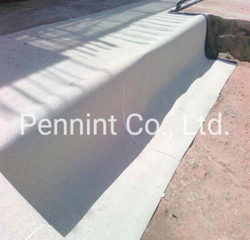 Pre-applied HDPE waterproofing membrane sand surface building material 3