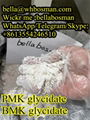 Supply New bmk powder Cas5413-05-8