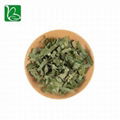 Chinese Traditional Herb Horny Goat Weed