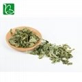 Chinese Traditional Herb Horny Goat Weed Epimedium For health 