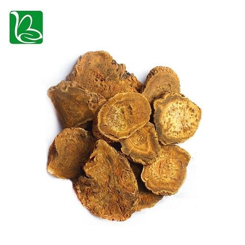 Da huang dried herbal medicine Rheum officinale palmatum L.