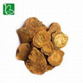 Da huang dried herbal medicine Rheum