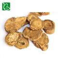 Da huang dried herbal medicine Rheum officinale palmatum L.