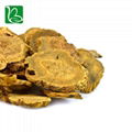 Da huang dried herbal medicine Rheum officinale palmatum L.