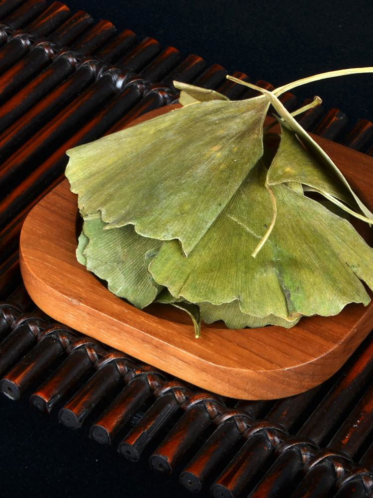 Dried ginkgo leaf for hemiplegia Chinese herbal ginkgo dried leaves  3