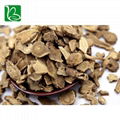 Traditional Chinese medicine saussurea costus kuth root for invigorating stomach