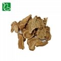 Traditional Chinese medicine saussurea costus kuth root for invigorating stomach