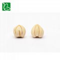 Chuan bei mu fritillaria cirrhosa traditional Chinese unibract fritillary bulb m 4