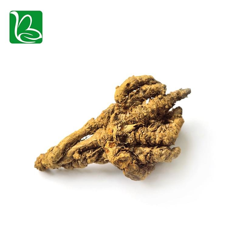 Coptis chinensis rizoma traditional Chinese medicine herbs Rhizoma Coptidis heal 4