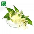 Drotrong Chinese herbal extract wild honeysuckle flower extract dried honeysuckl 5
