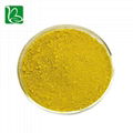 Drotrong high quality phellodendron amurense extract berberine sulphate 98%