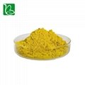 Drotrong high quality phellodendron amurense extract berberine sulphate 98% 2