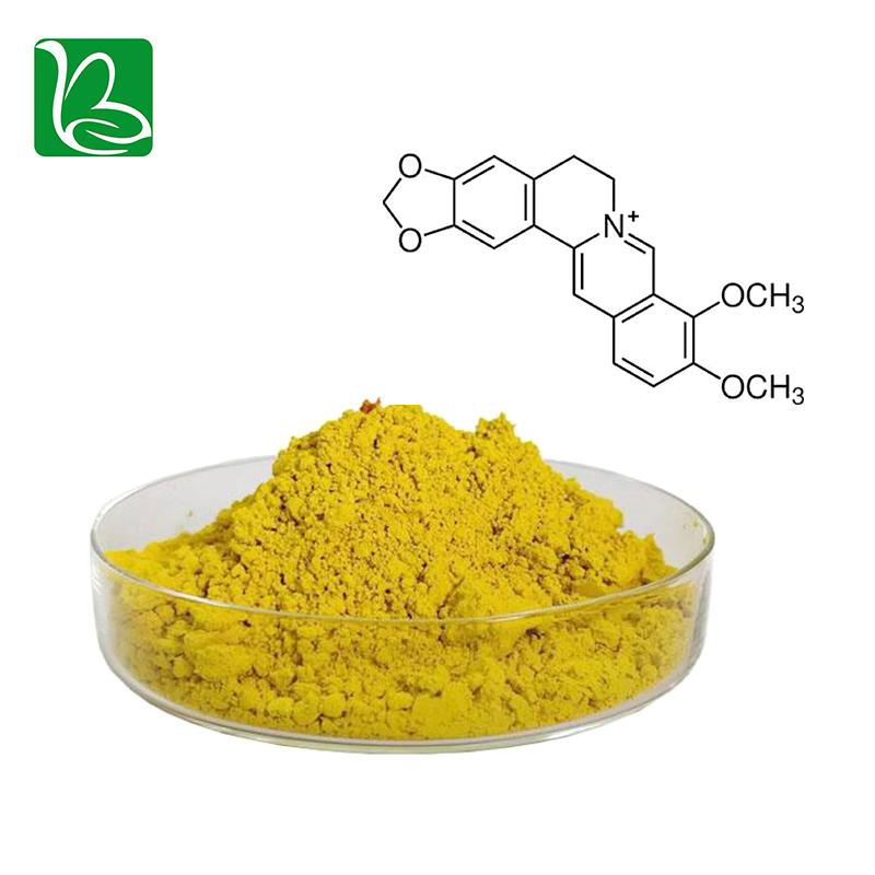 Drotrong high quality phellodendron amurense extract berberine sulphate 98% 4