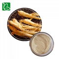 Bulk supply herbal extract ginseng extract ginsenoside for functional beverage 