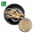 Bulk supply herbal extract ginseng extract ginsenoside for functional beverage 