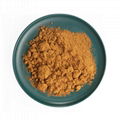 Rhodiola rosea extract bulk supply Gold