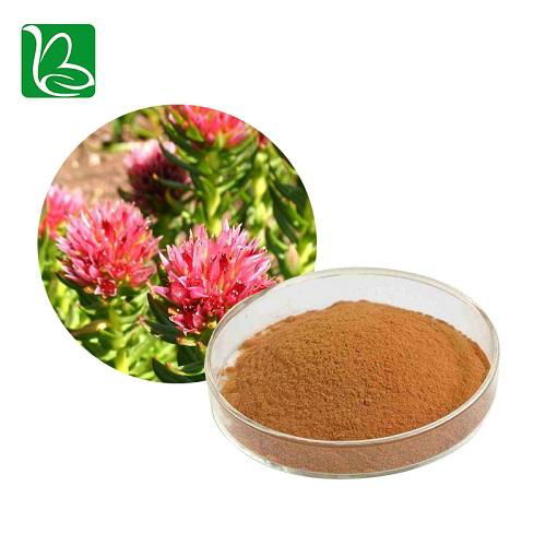 Rhodiola rosea extract bulk supply Gold Theragran P.E. rhodiola rosea extract po 2