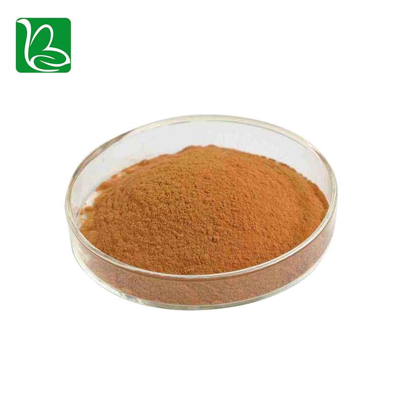 Rhodiola rosea extract bulk supply Gold Theragran P.E. rhodiola rosea extract po 3