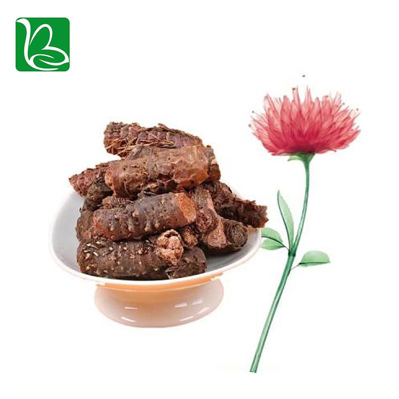 Rhodiola rosea extract bulk supply Gold Theragran P.E. rhodiola rosea extract po 5