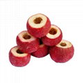 FD hawthorn shan zha freeze dried fruit product top level tasty freeze dried Chi