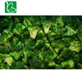 Hot sale freeze dried vegetables nutrition supplier freeze-dried broccoli with p 2